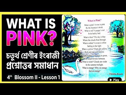 What is pink class 4 | ranas classroom | class 4 english lesson 1 | Blossom ll