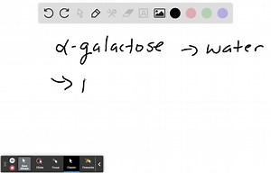SOLVED:Compare the structure of IPTG shown in Figure 11-7 with the structure of galactose shown in Figure 11-5 Why is IPTG bound by the lac repressor but not broken down by β-galactosidase?