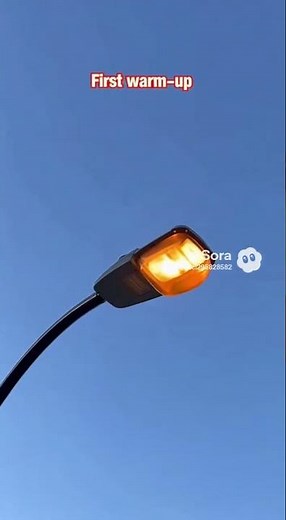 Replacing this led street light back to high pressure sodium