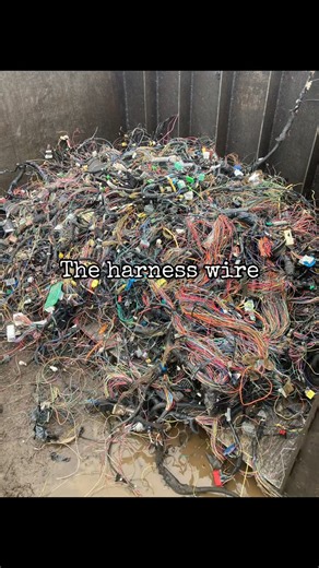 The Car Edition Ltd on Reels