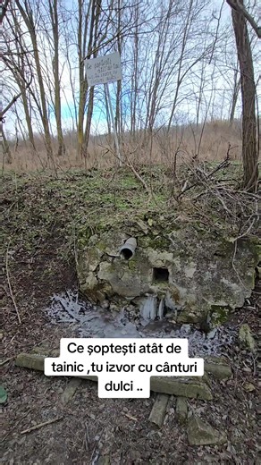 #romania🇷🇴 #bucatariemodulara #mobildorlux #chisinaumoldova🇲🇩 #popularvideo