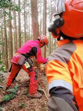 Forestry Workshop in Itoshima, Japan (2023)
