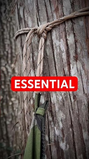 Paracord 101: Why 550 Cord Is Essential Survival Gear