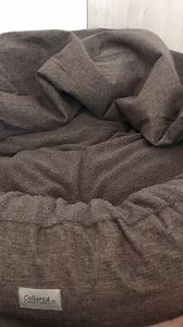 1.9K views · 47 reactions | That expression at the end of the video ❤ the classic comfort cocoon https://www.collaredcreatures.com/products/grey-comfort-cocoon?variant=13373102620784 | Collared Creatures | Facebook