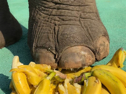 玉梅有点聪明的这都分辨出发