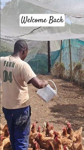 Welcome back to the homestead channel!