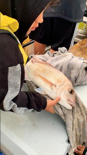 Fishing Adventure for Kids 🎣 Educational Video for Kids