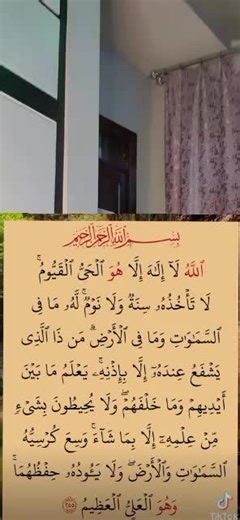 Insights for Creators in 2025