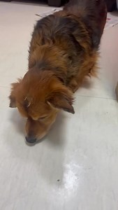 18K views · 1.1K reactions | Aggionamenti Nonno Napo Stasera con La...