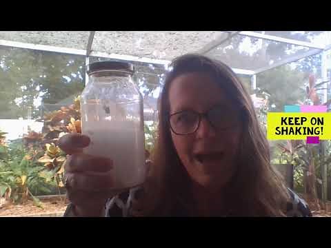 Weathering and Erosion; Chalk & Water Shake Demonstration