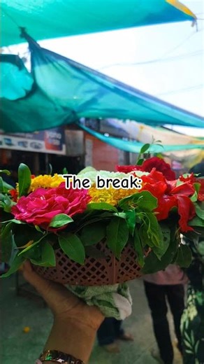 Grishneshwar jyotirlinga 🌿📿 Need this break #mahadev #mahadevstatus #jyotirlinga #grishneshwar