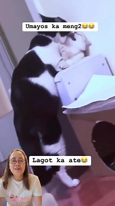 11K reactions · 203 shares | Huli pero di kulong #FunnyCats #teamphiara #funnymoments #viralreelsシ #fypシ | Maria Chona Montesor | Facebook