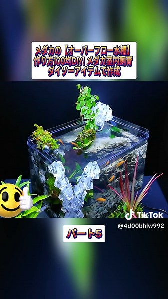 メダカのオーバーフロー水槽の作り方