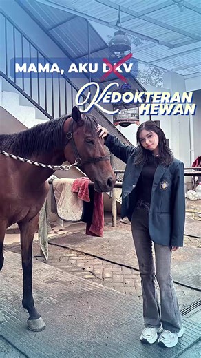 Fkh Cabang DKV: Tips Editing dan Kuliah Dokter Hewan