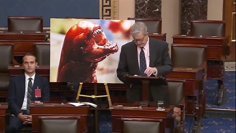 Republican Senator suggests eating radioactive shrimp will turn you into an alien