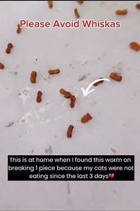 435K views · 4.1K reactions | Please Avoid Whiskas pet food ❌...