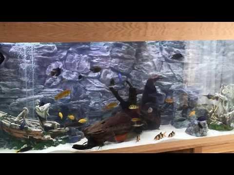 How to install 3D aquarium background - installation by Andrew