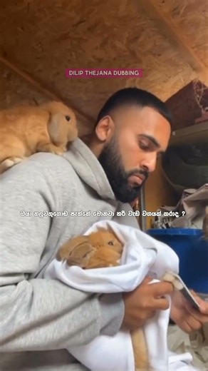 මරු කැරට් අලේ 😅 අම්මෝ dilip thejana rabbit sinhala funny dubbing rabbit and guy #comedy #dubbing