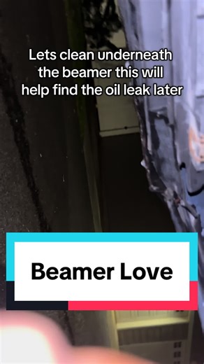 Vanos line helped but we might have an oil pan gasket problem boys #fyp #cartiktok #bmw #mechanic #e46