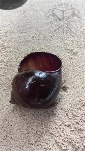 How to Cast Aluminum at Home Using Snail Shells