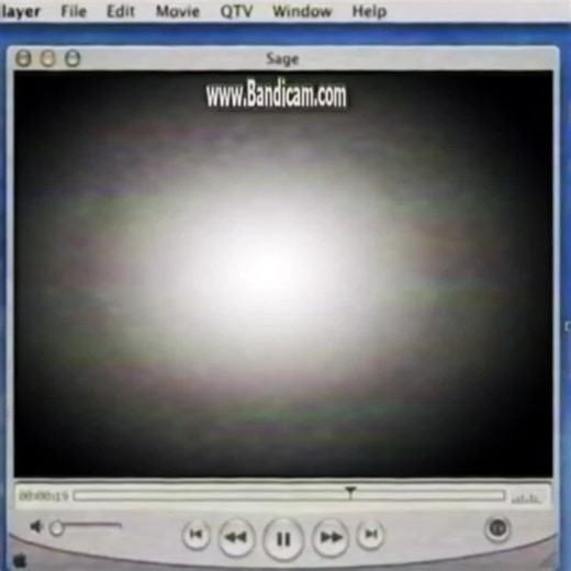 Flash vs Zoom: El Último Video del Año