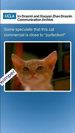 Cutesy 1980s cat food ad by 9Lives! Featuring Morris the Cat. 😺😼