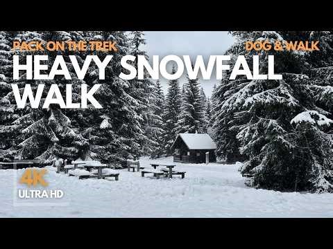 Walk Through Deep Snow | Bohemian Forest Winter Hike | 4K