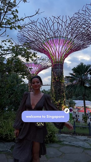 welcome to singapore from the diverse culture history, food, drin! incredible sights there is so much to explore here what would be first on your list here? #Singapore #singaporetiktok #singaporetrending #visitsingapore #singaporeimagine #thejewel #changiairpot #marinabaysands #crazyrichasians #singapore #singaporelife #supertree #supertreegrove #asiatravel #asiatraveldiaries #singaporetour #crazyrichasiansmovie
