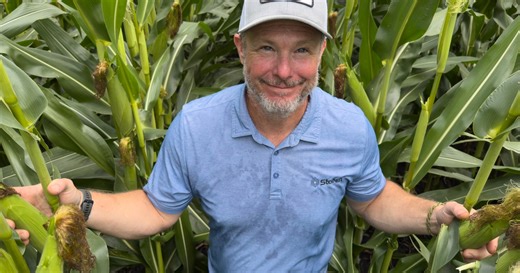 Classic corn diseases make a comeback in Iowa's 2025 growing season