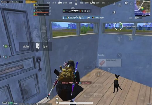 Exploring PUBG Tips and Strategies