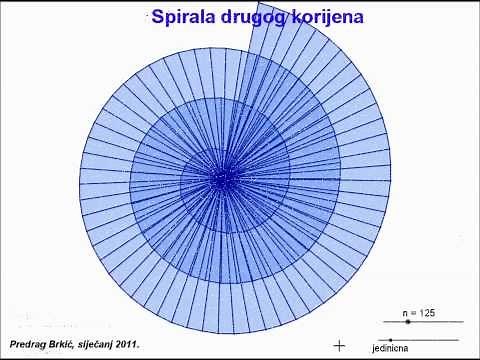 Spirala drugog korijena