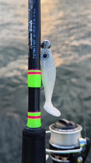 Tennessee River Bass Fishing Highlights