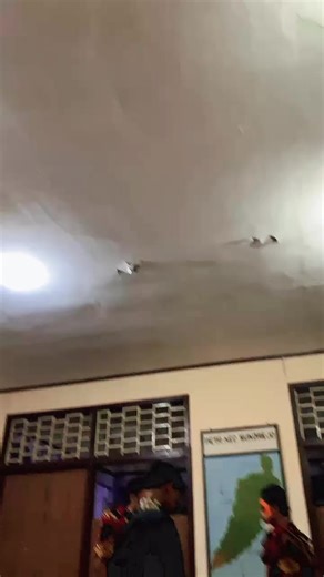 Explore Candu: Cultural Insights and Traditions