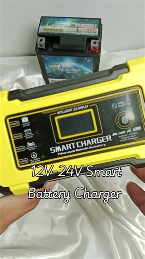 High Quality 12V-24V Smart Battery Charger for All Needs