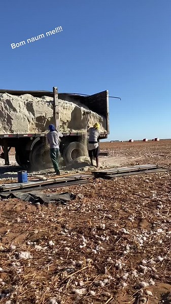 Cotton Loading Process in Open Field