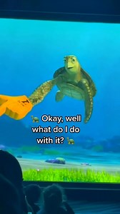 42K views · 856 reactions | Part 56 #turtletalkwithcrush #turtletalk #funny #turtle #disney #talkshow #kids #ask #reelsvideo #viralvideo #fypシ゚viral | Turtle Talk With Crush | Facebook