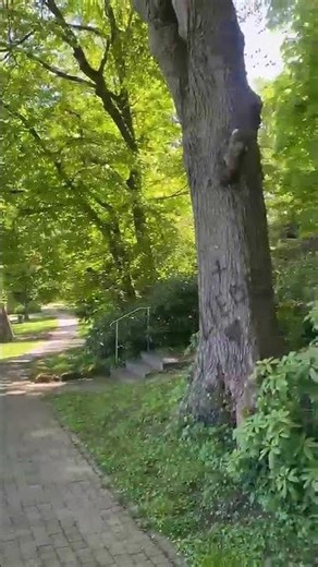 Parque del Castillo iniciando Primavera Marburg (Alemania)