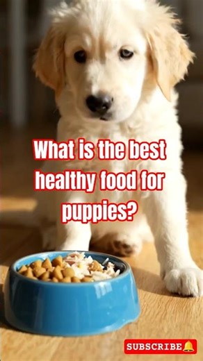 What is the best healthy food for puppies?