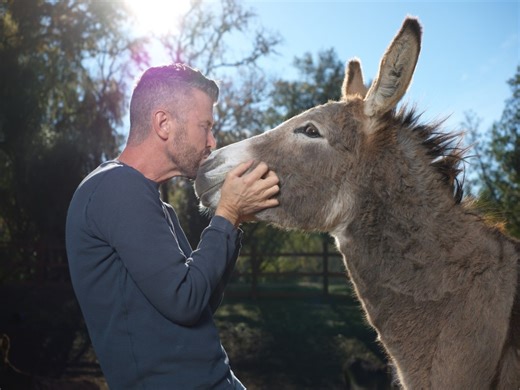 Northern California donkey rescue is the star of a new reality TV series