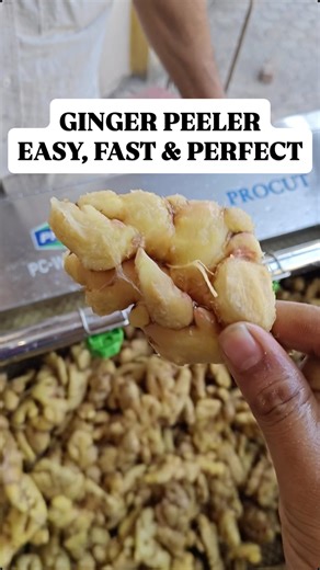 PROCUT | Food Machines | Bhavnagar on Instagram: "Ginger Processing Made Easy, Ginger Peeler, Ginger Washing Machine #gingerpeeler #foodmachinery #foodindustry #commercialkitchen #kitchenequipment #foodtechnology #vegetablecutter #foodtech"