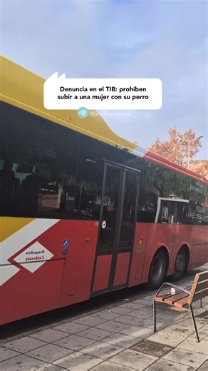 Una mujer denuncia que el pasado 25 de diciembre no pudo subir a un autobús del TIB en Manacor por viajar con su perro. Según explica, la conductora llamó a la policía y le impidió continuar el trayecto, pese a que asegura que nunca antes había tenido problemas utilizando otros transportes públicos. El caso ha reabierto el debate sobre la normativa del TIB y el transporte pet-friendly en Mallorca. 🐶🚌 ¿Crees que deberían permitirse mascotas en el transporte público de la isla? | Virales Mallorc