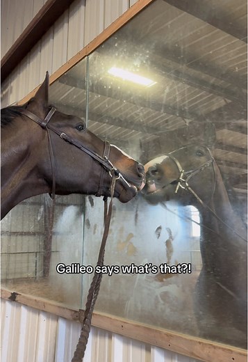 Amy Coretz on TikTok