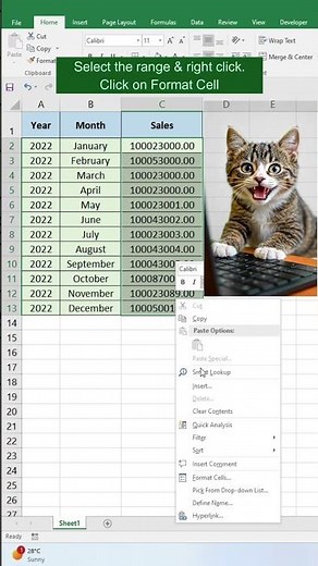 Fix Text Not Fitting in Excel (1-Click Trick!) | Shrink to Fit Tutorial