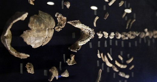 'Mind Blown': Is Human Ancestor Discovery the Long-Sought Missing Link?