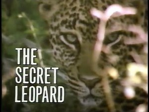 National Geographic: The Secret Leopard (1986)