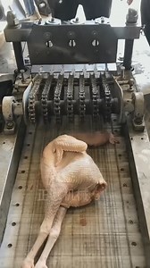 121K views · 14 reactions | Cutting meat into pieces used by machine chef | Green Planet TV | Facebook