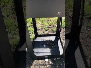 How to get Rid of Biting Flies