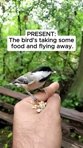 Super Quick Daily English Lesson ✨