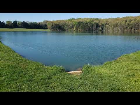 Fishing Planet - Christmas Giants Tour -Q1 -2025