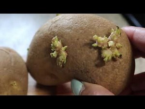 WOW 🤩 DELICIOUS ZO KITCHEN recipes